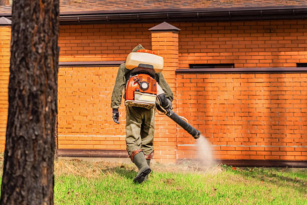 Trusted Termite Control service in Cowan, TN - Nex Pest Control